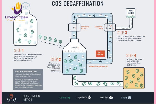 Dinh dưỡng trong hạt cà phê decaf tách caffeine bằng Carbon Dioxide siêu tới hạn được giữ nguyên vẹn